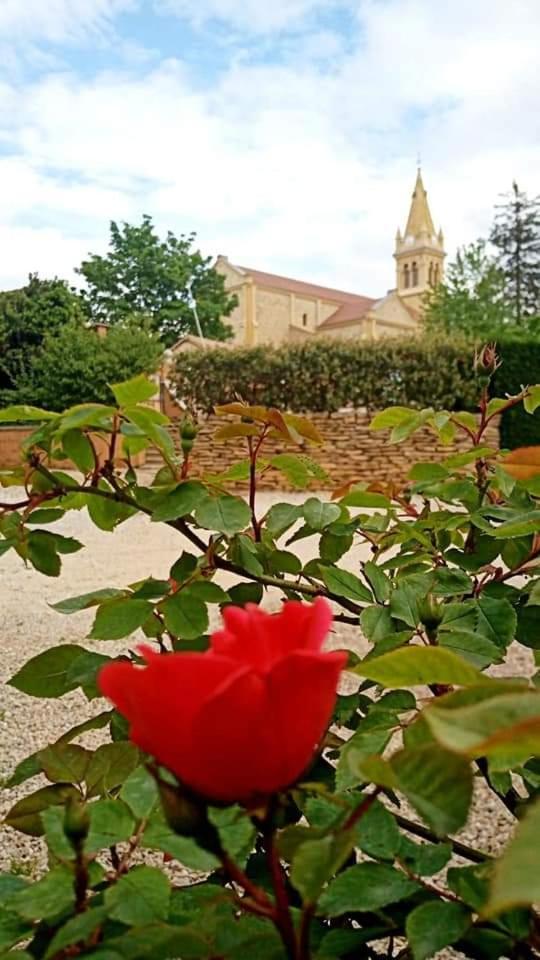 Les Jardins Du Castel Gites Annick Et Jean Paul Saint-Georges-d'Esperanche Luaran gambar